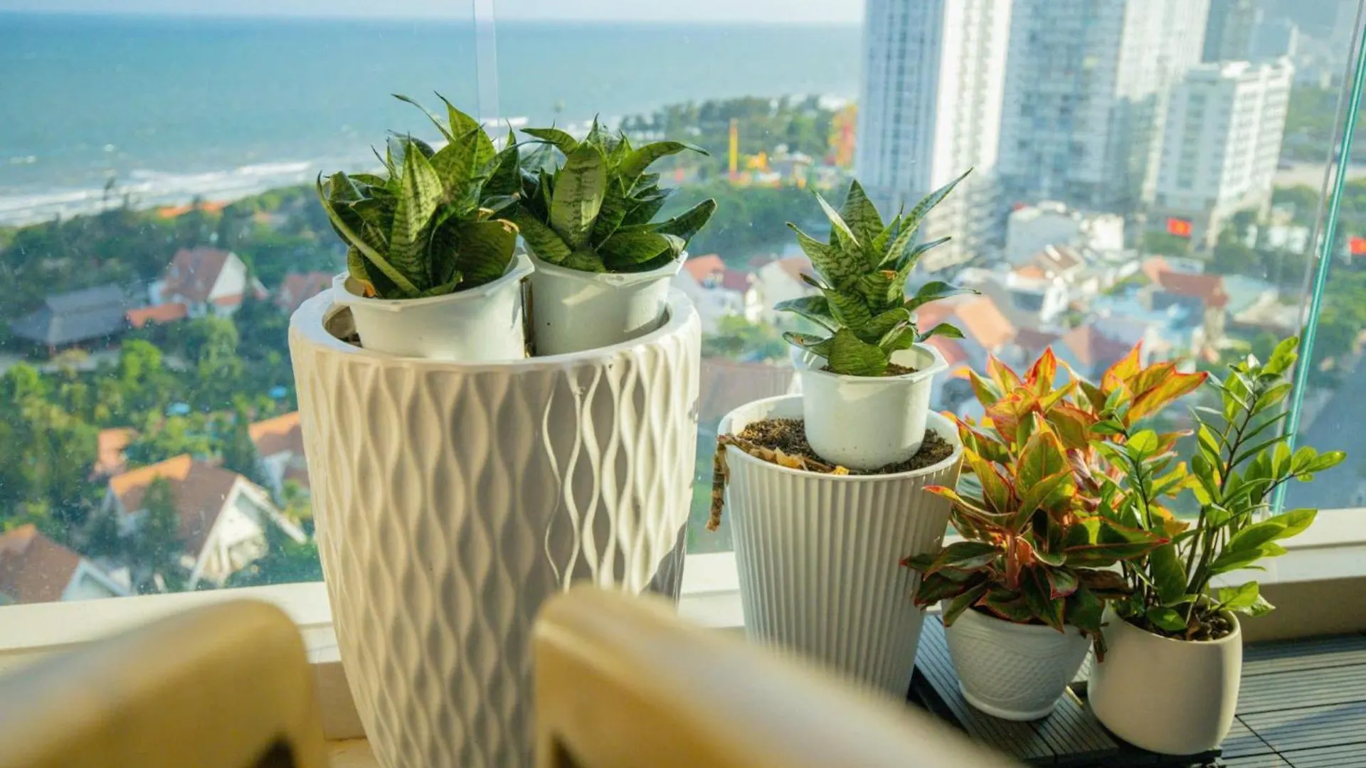 The Song Luxury Apartment Vung Tau - Sieu Uu Dai Chi Co Trong Tuan Nay Vietnam